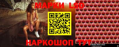 дмт Нальчик