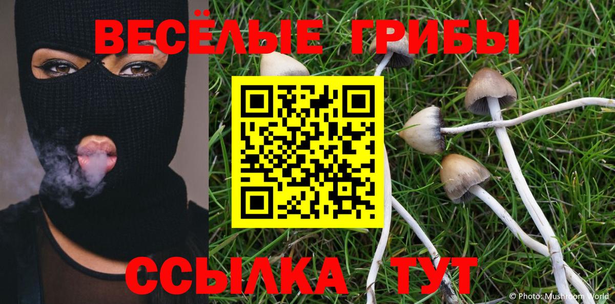 Псилоцибиновые грибы прущие грибы  Псилоцибиновые грибы GOLDEN TEACHER  Узловая  Вход с VPN 